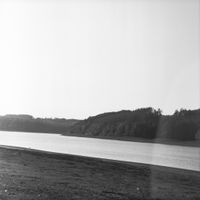 M&ouml;hnesee analog (5 von 12)